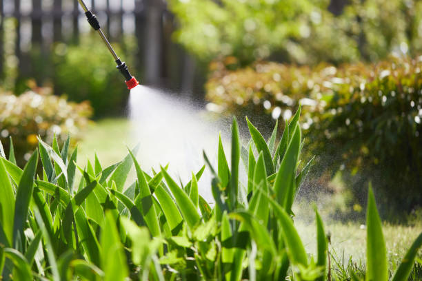 24/7 Emergency Mosquito Control experts in Mattydale, NY